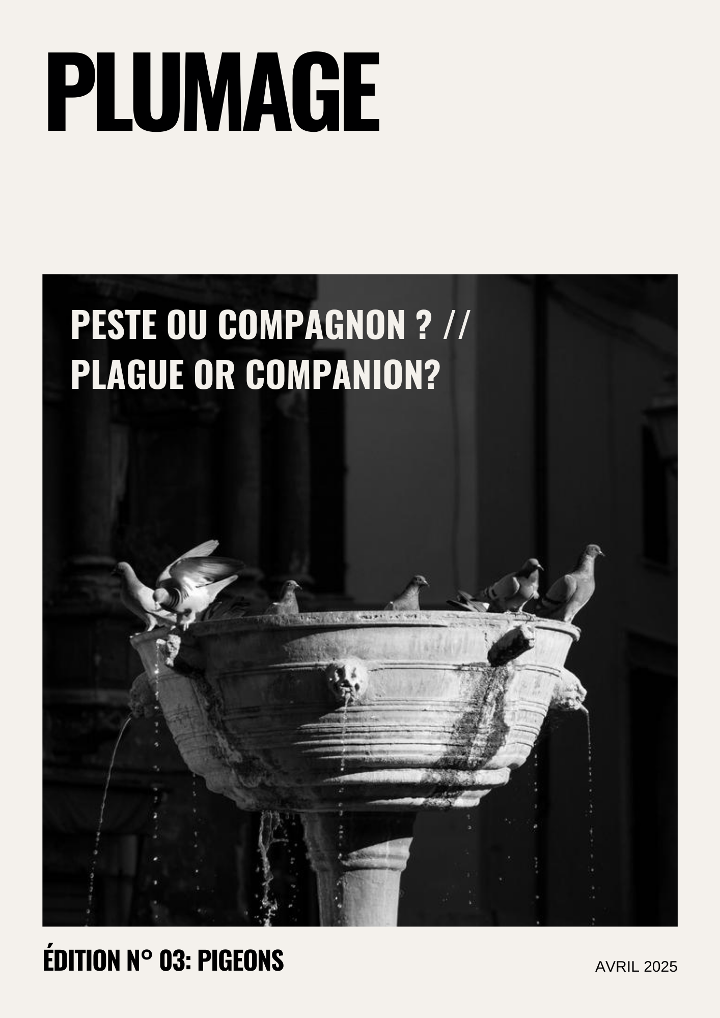Pigeon